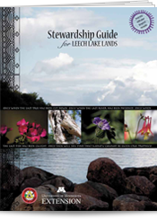 Stewardship Guide