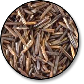 Wild Rice