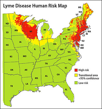 human risk