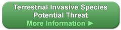 Terrestrial Invasives Potential Threat