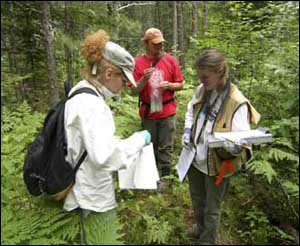 Plant Resources staff conducting floral survey