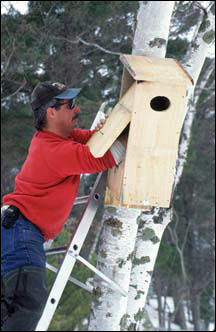 nest boxes