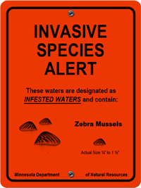 Northwest wildlife agencies warn of invasive zebra mussels in