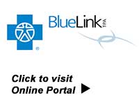 BlueLink Login