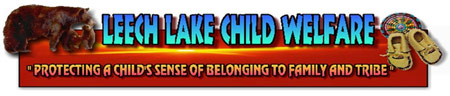 child Welfare logo